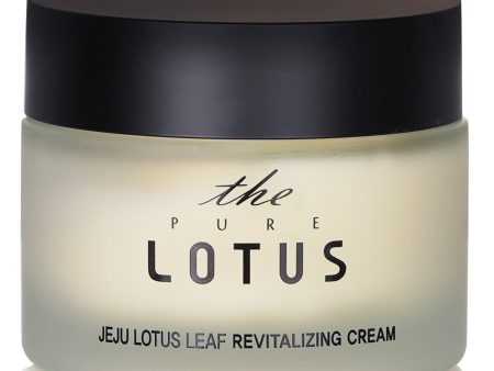 THE PURE LOTUS Jeju Lotus Leaf Revitalizing Cream  50ml Supply