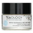 Teaology White Tea Miracle Anti-Age Cream  50ml 1.6oz Online