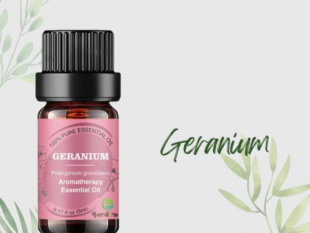 ttgarden 100% Pure Natural Aromatherapy Essential Oil 5ml - Geranium  5ml Supply