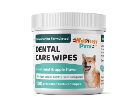 Wellnergy Pets Wellnergy Pets - DENTAL CARE WIPES for dogs and cats 100wipes (850013105182)  Fixed Size Sale