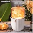 Wiseway Halite Rock Salt Lamp NightLight Purifier USB Rechargeable  Fixed Size Sale