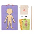 Tooky Toy Co Body Magnetic Chart  30x40x1cm Hot on Sale