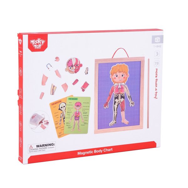 Tooky Toy Co Body Magnetic Chart  30x40x1cm Hot on Sale