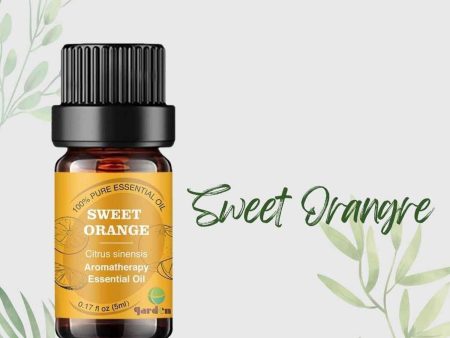 ttgarden 100% Pure Natural Aromatherapy Essential Oil 5ml - Sweet Orange  5ml Online Hot Sale