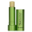 Teaology Transparent Matcha Tea Lip Balm  4.8g 0.17oz Sale