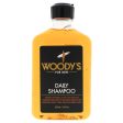 Woodys Daily Shampoo by Woodys for Men - 12 oz Shampoo Fashion